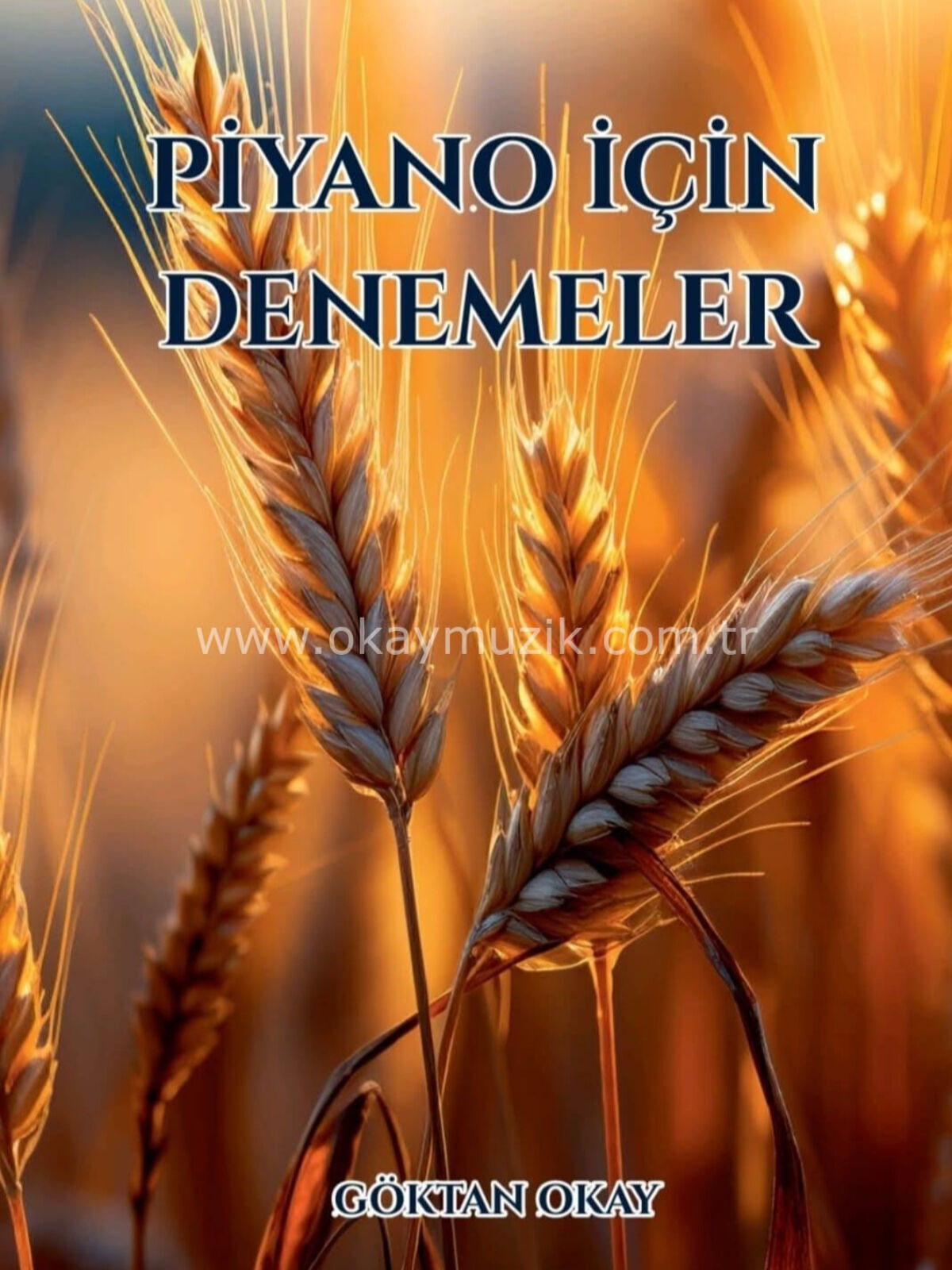 Piyano İçin Denemeler Göktan Okay
