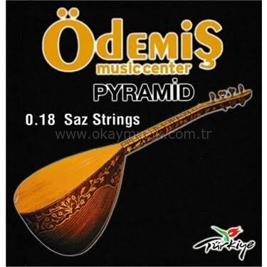 0,18 Saz Teli Ödemiş