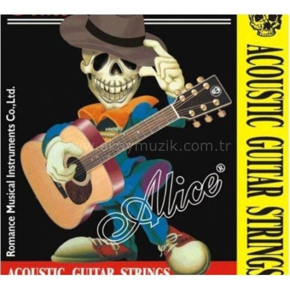 Alice A206/2 Akustik  Gitar Si Teli 0.16